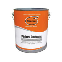 Pintura Geotrans Chema